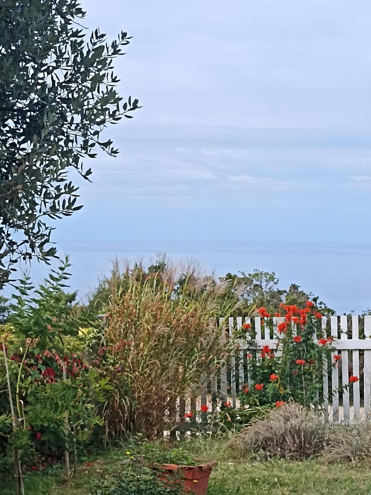 Ferienwohnung App Bonic Veli Lošinj Exterior foto