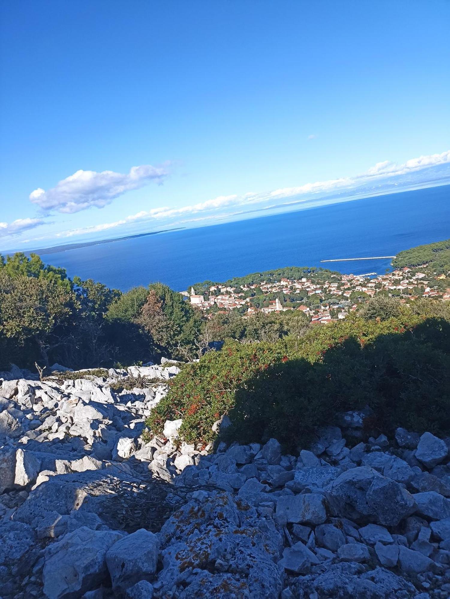 Ferienwohnung App Bonic Veli Lošinj Exterior foto