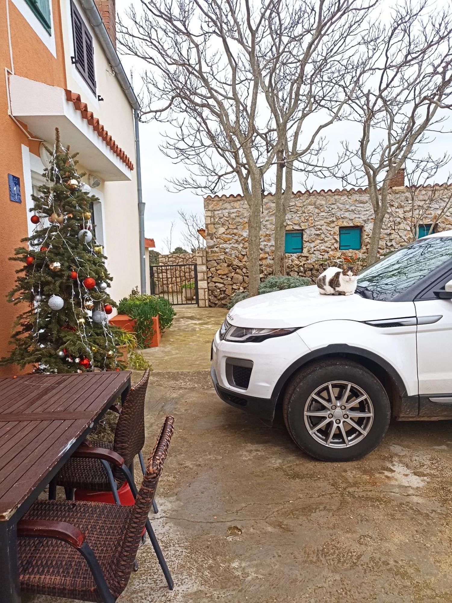 Ferienwohnung App Bonic Veli Lošinj Exterior foto